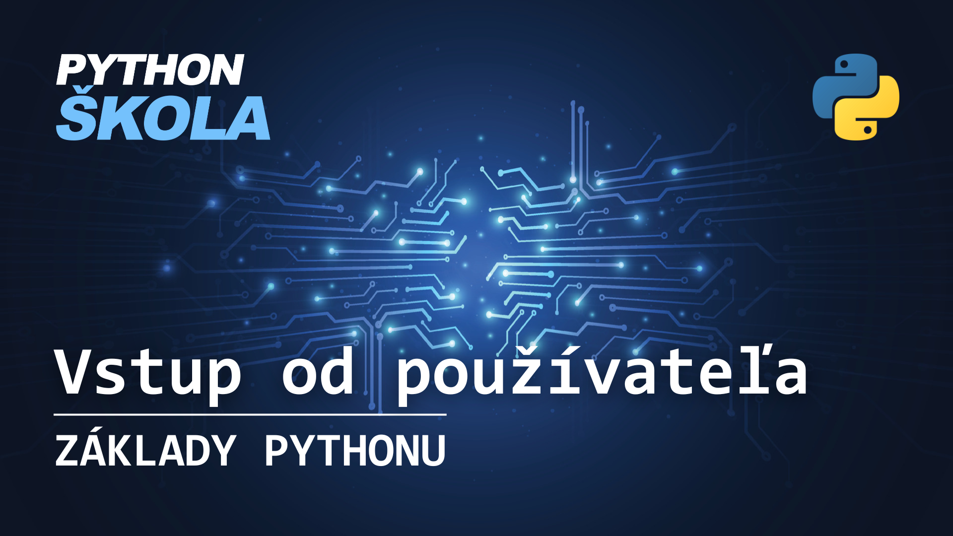 Vstup od používateľa