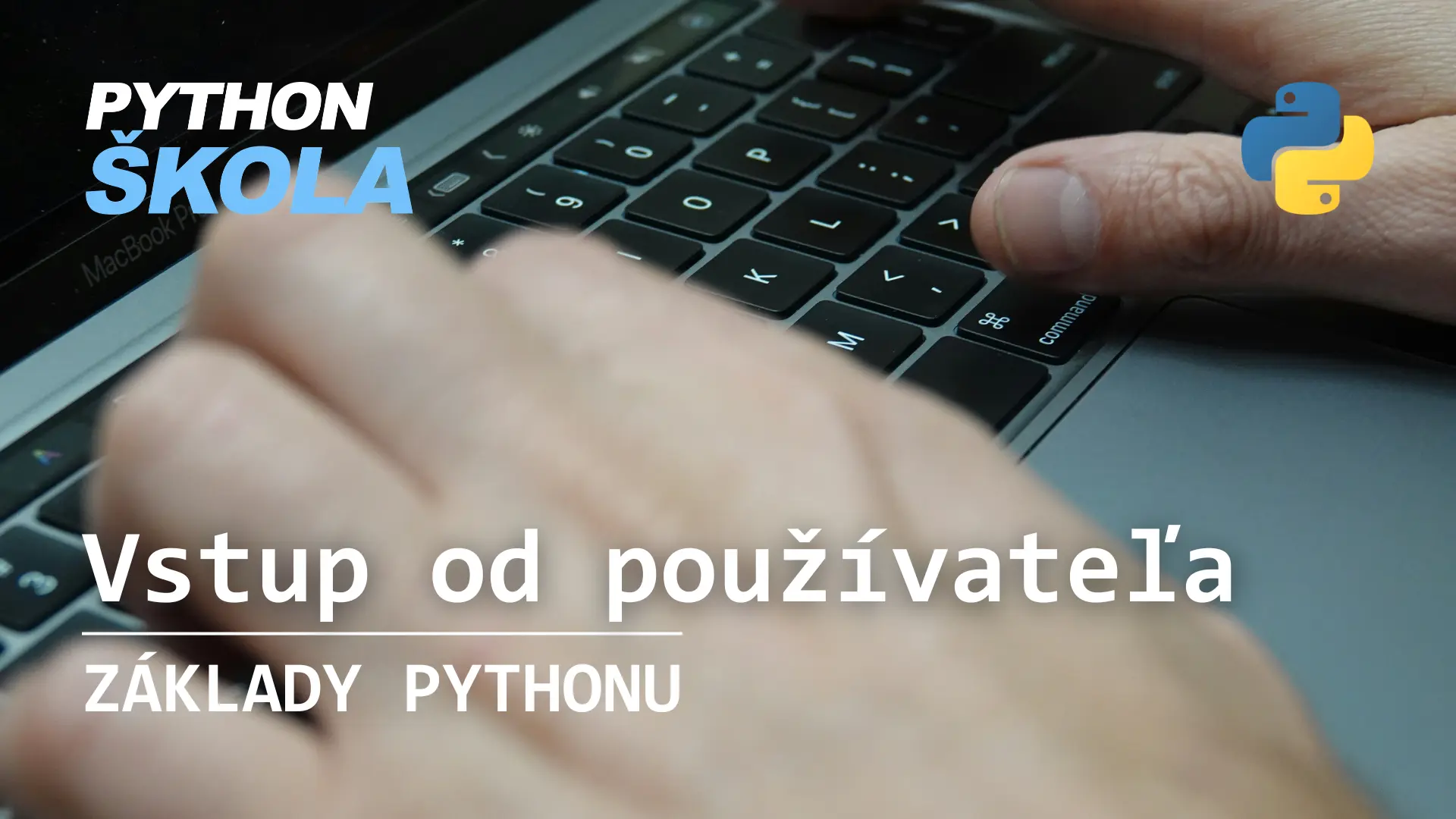 Vstup od používateľa