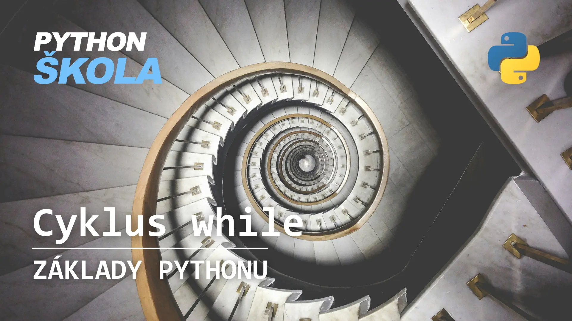Cyklus while
